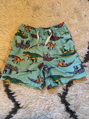 Hanna Andersson Dinosaur Swim Shorts with Multicolor Dinosaurs